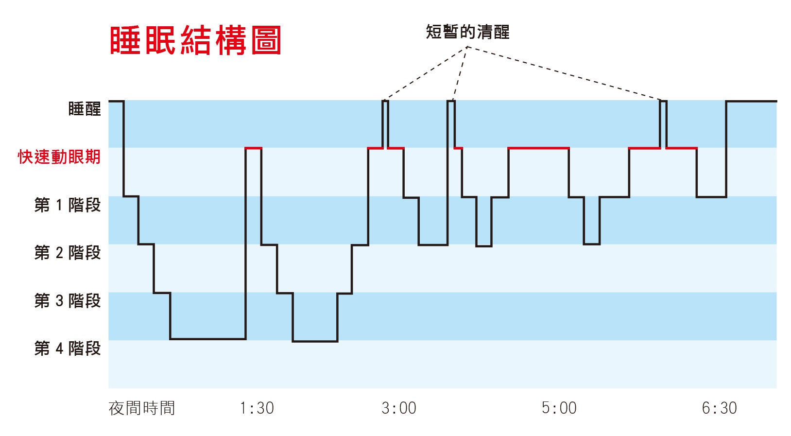 正常的睡眠結構分為4個周期，每個周期都有快速動眼期（上圖紅字顯示），這4個周期會不斷循環，直到睡醒。（圖片來源：維基百科）