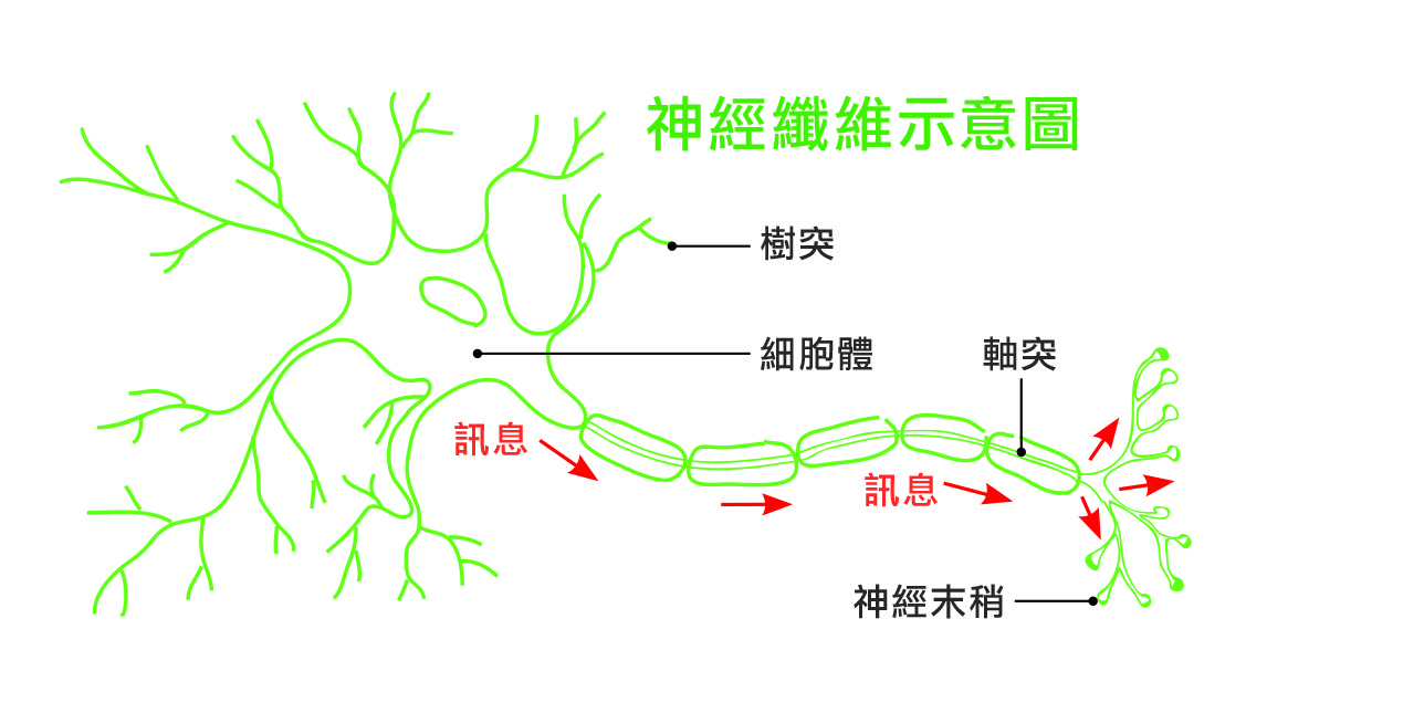 圖/禪天下雜誌提供