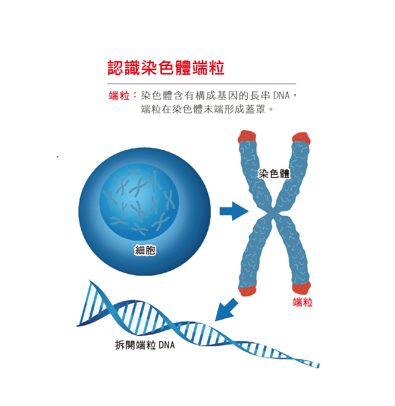 圖/禪天下雜誌提供