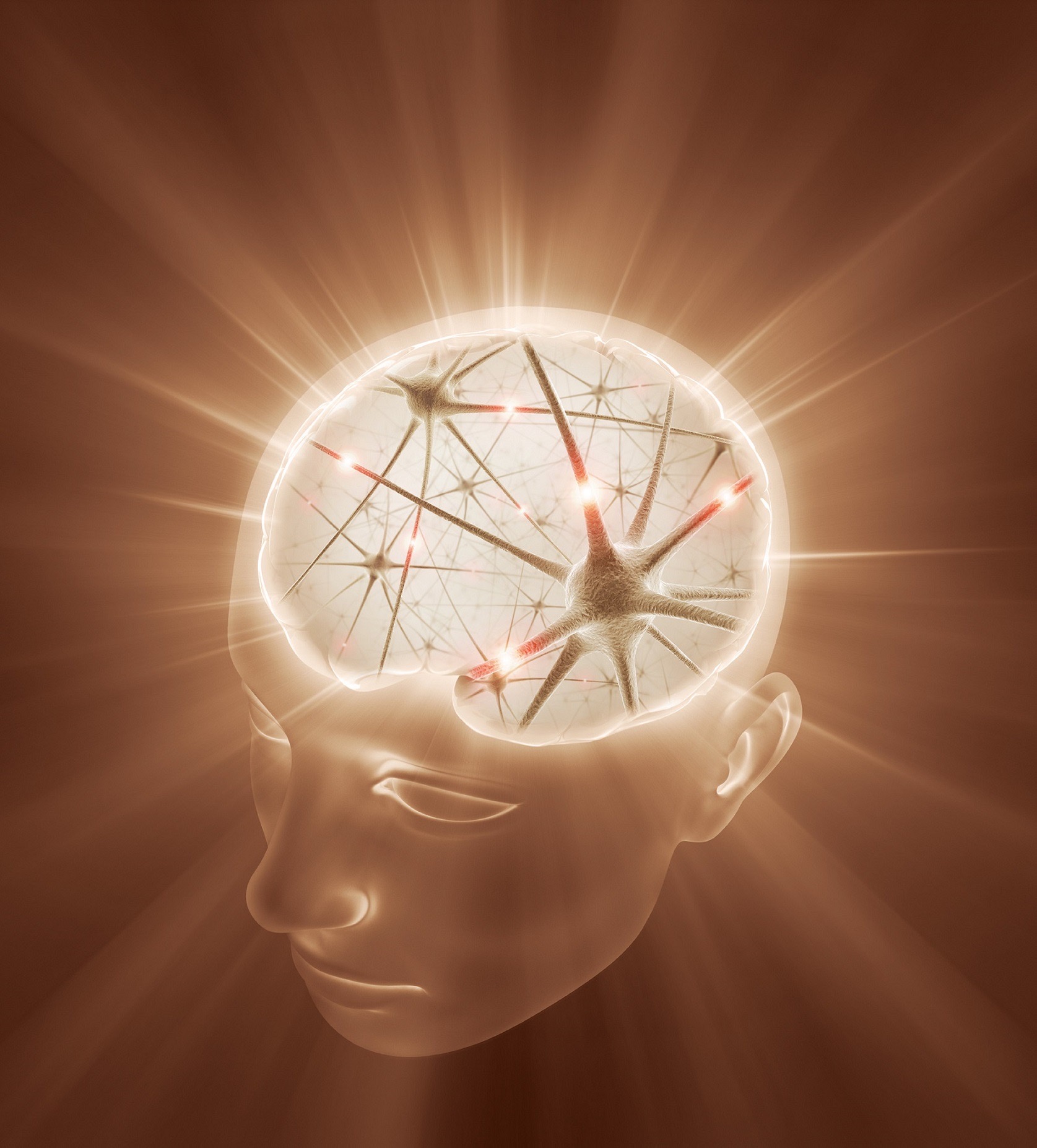 印心佛法可以讓現在意識、潛意識和原始意識都得到清淨，見到靈性之光，是真正的智慧修行。圖/禪天下雜誌提供