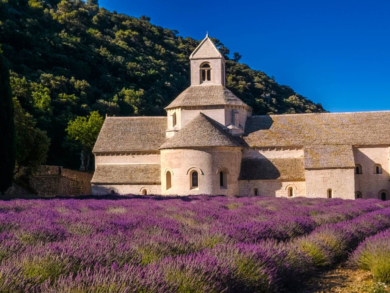 薰衣草花海中的聖南克修道院，靜謐與美景交織的普羅旺斯風情。圖:/開元周遊提供