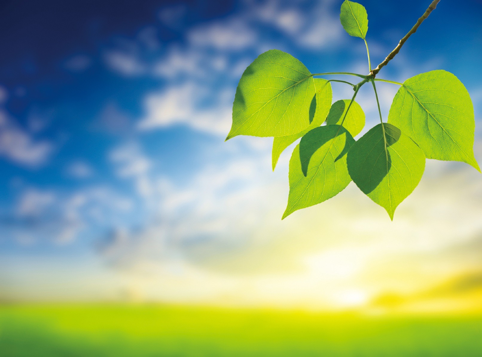 圖/禪天下雜誌提供