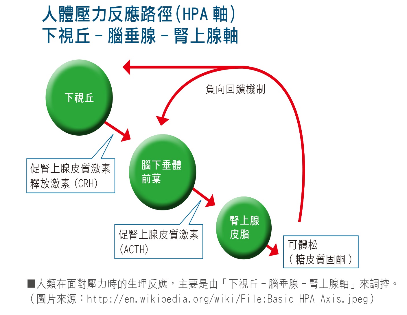 圖/禪天下雜誌提供