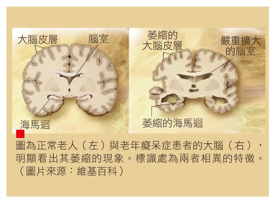 圖/禪天下雜誌提供