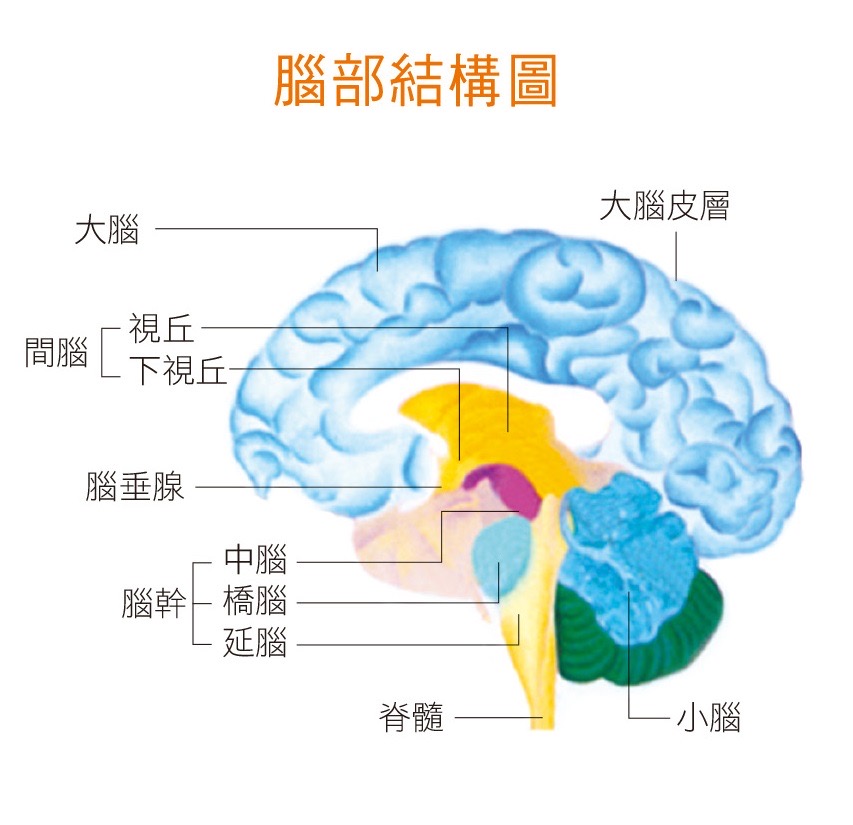圖/禪天下雜誌提供