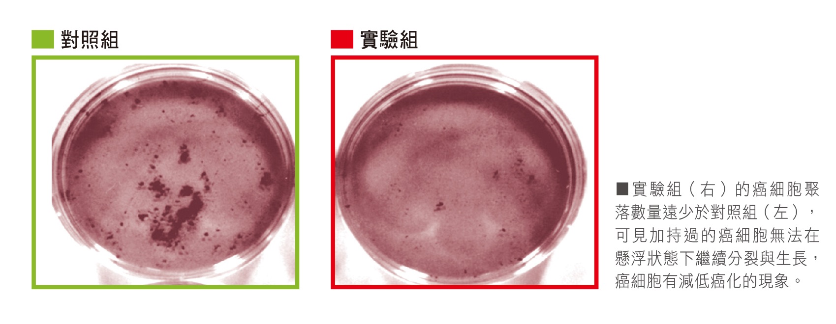 圖/禪ˊ天下雜誌提供