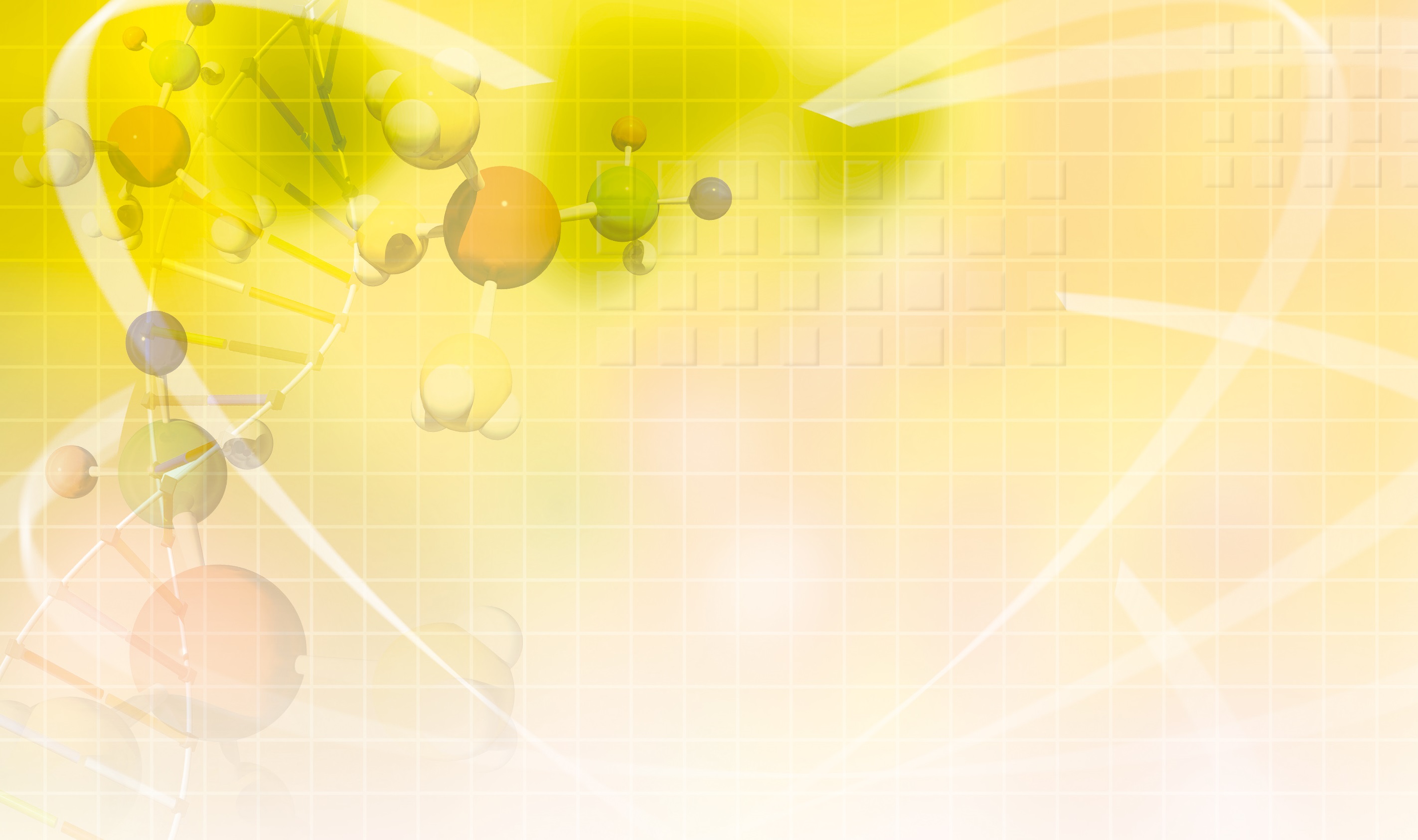 圖/禪天下雜誌提供