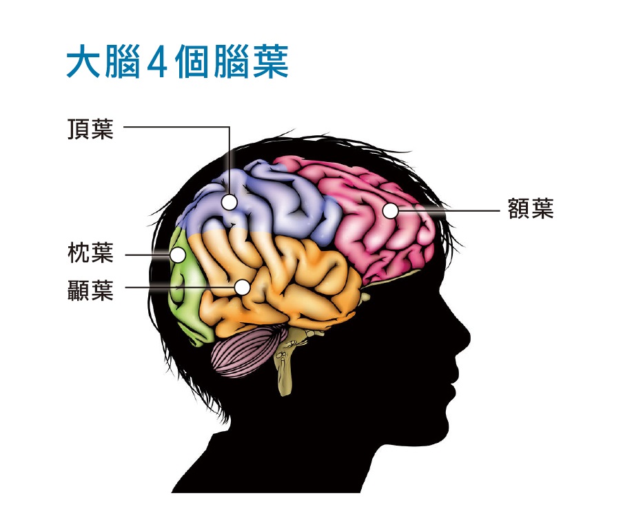 圖/禪天下雜誌提供