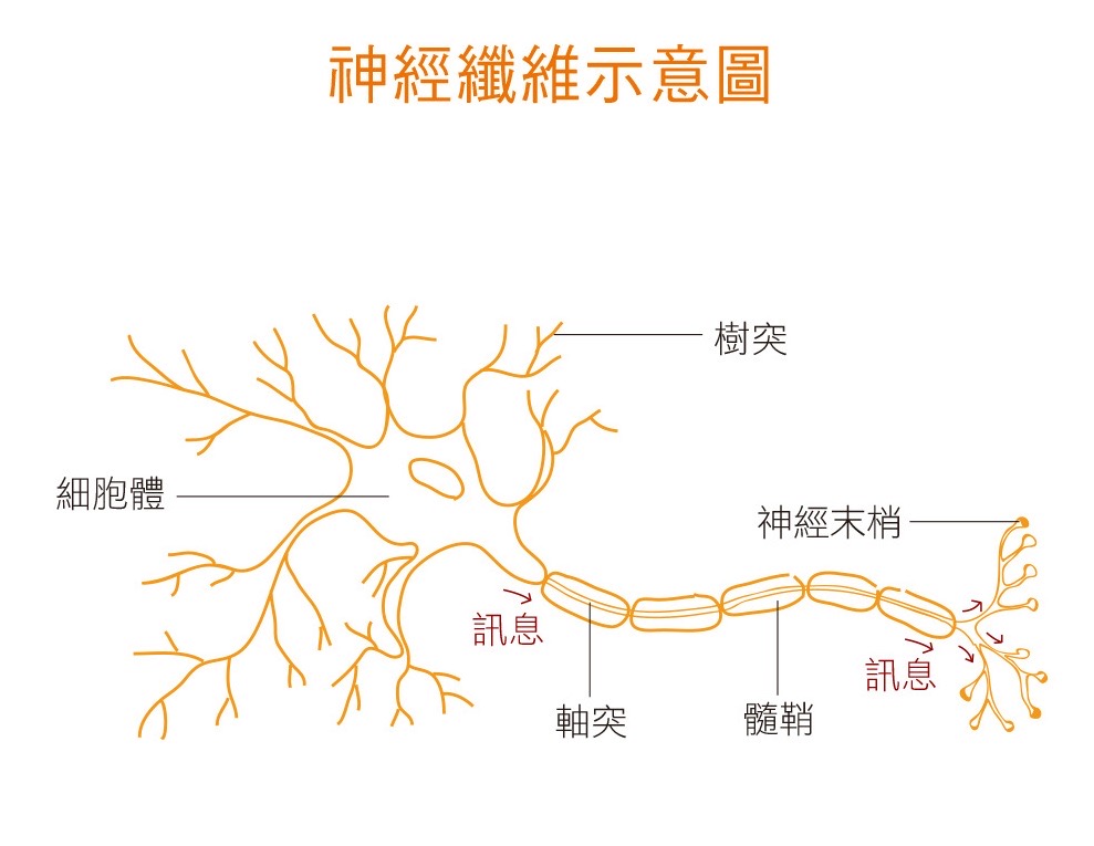圖/禪天下雜誌提供
