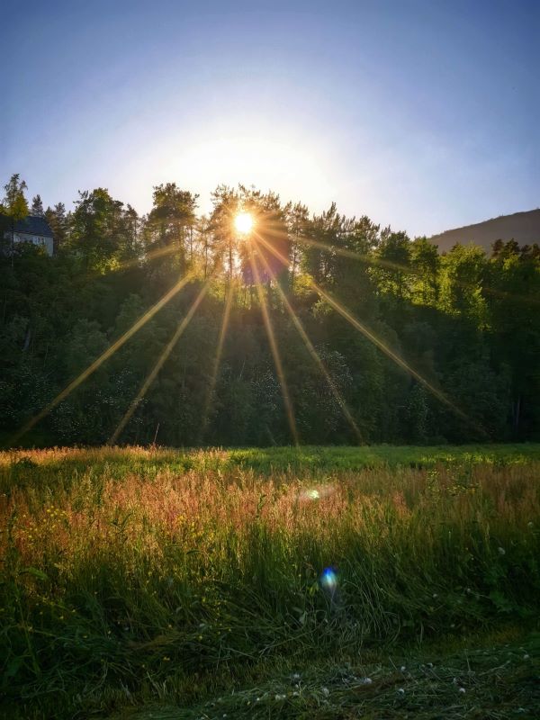 挪威夏夜近永晝，深夜陽光仍斜照草地。圖/開元周遊提供