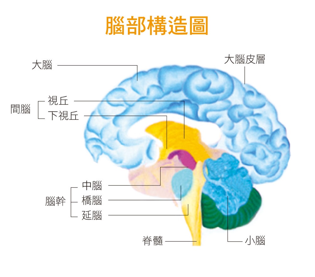 圖/禪天下雜誌提供