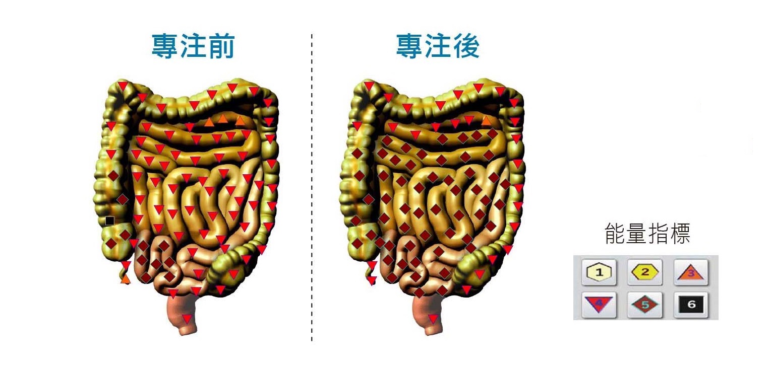 圖/禪天下雜誌提供