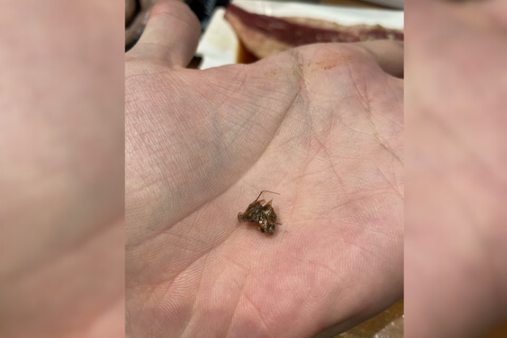 有消費者到牛角燒肉南港車站店用餐，喝飲料時竟咬到蟑螂，而業者只想打8折補償。圖/取自PTT八卦板