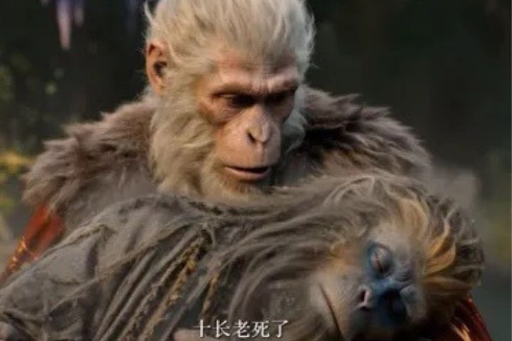 《後西遊記》第一季以「花果山篇」為主軸,共30集,每集約40分鐘。圖/取自《後西遊記》