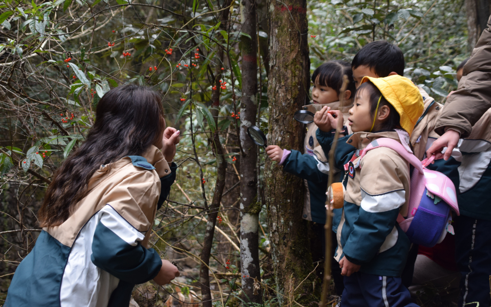 幼兒園要備課、教課、寫教案，還要進行野外教學活動。圖/取自新華社