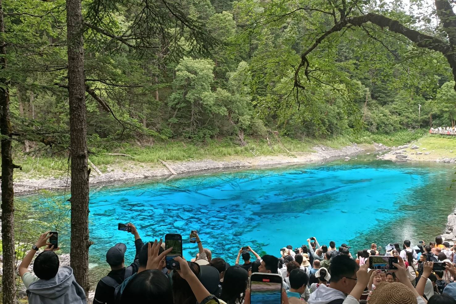 【走讀文化四川5-3】自然篇：九寨歸來不看水 高山「海子」如夢幻仙境