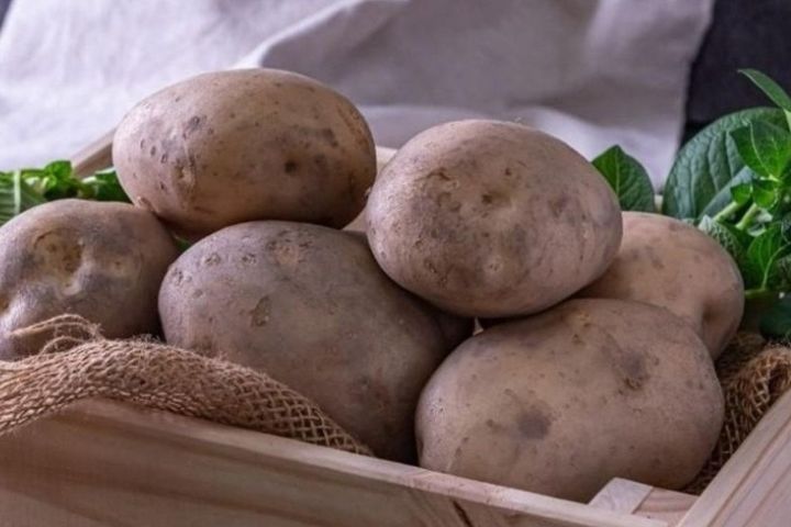 【梅花專論】從馬鈴薯之亂看見台灣糧食安全的真實風險