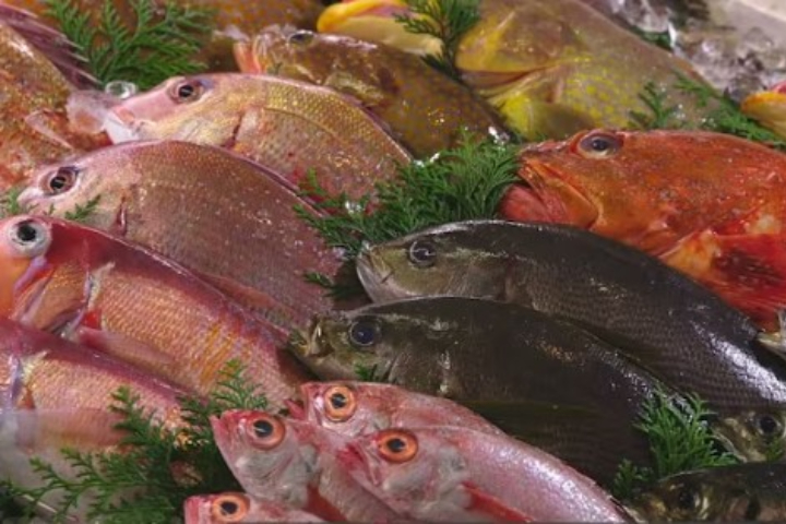 迎擊高市！陸方再祭出「限日令」反制措施　暫停進口日本水產品