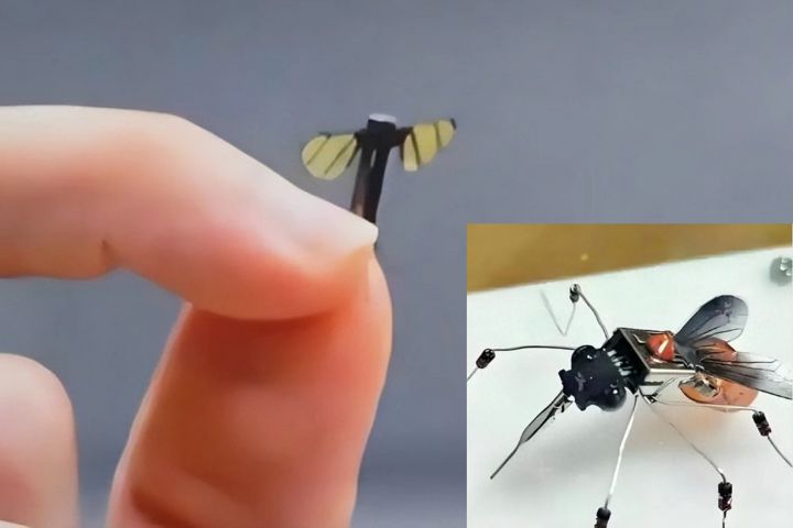 機器蚊可偵測、救災、授粉 陸製微型機器人邁入新紀元