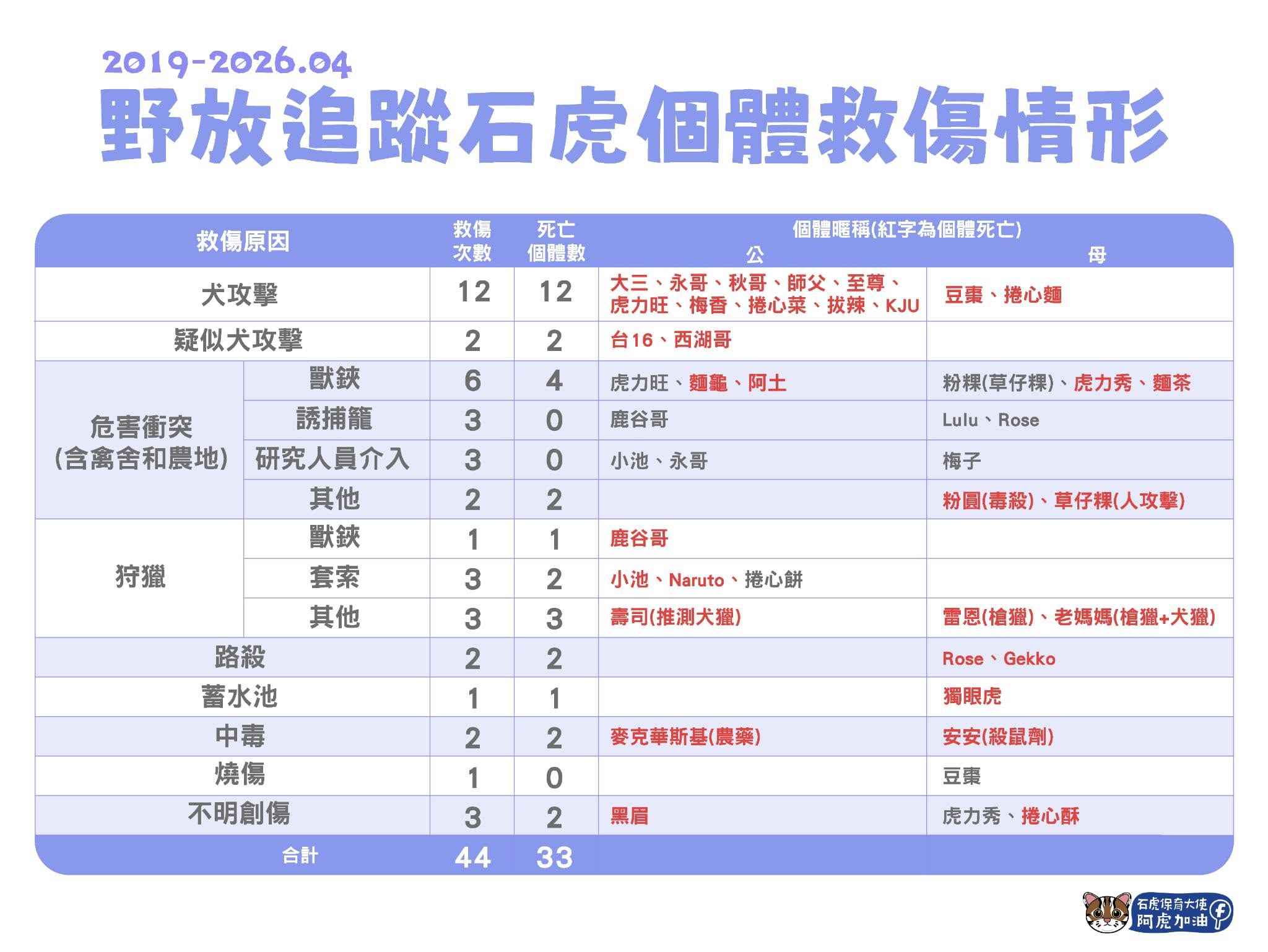 圖為野放追蹤石虎個體救傷情形。圖/取自臉書粉專「石虎保育大使 阿虎加油」