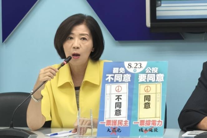 國民黨團副書記長王育敏30日，8月23日第二波罷免及核三公投案，黨團立場是罷免投不同意，核三公投則是投同意；會盡快溝通，這陣子也會用力宣傳。圖/國民黨團提供