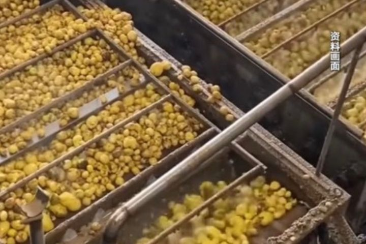 樂事薯片副產物疑遭違規製成食用澱粉　大陸多地查封涉案工廠
