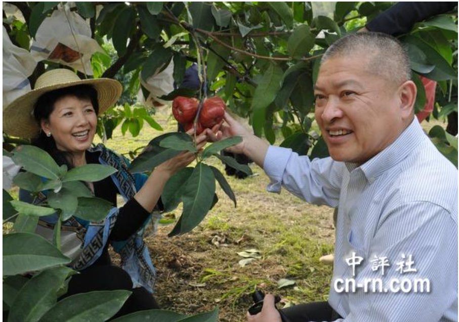 2013年1月15日，已故海協會長汪道涵之子汪致重(右)與妻子張思華(左)參觀高雄六龜的蓮霧園。圖/取自中評社