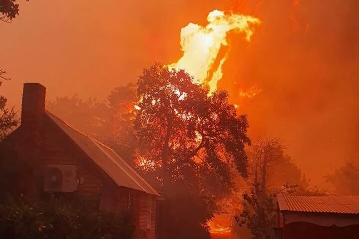 澳洲山火狂燒90天　7.5座北市面積被焚毀3萬居民撤離