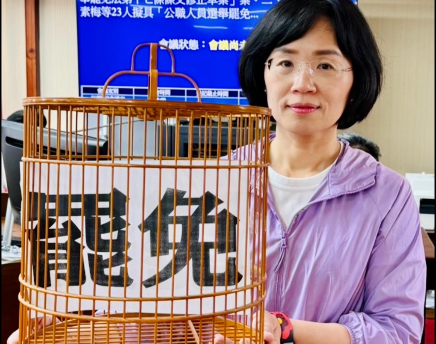 民進黨立委蘇巧慧表態參選2026年新北市長後，4日上午針對罷免基隆市長謝國樑衍伸的「公職人員選舉罷免法修正草案」，在立法院佔領委員會主席台。圖/取自蘇巧慧臉書