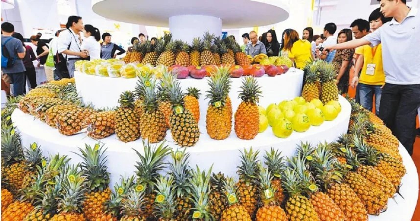 大陸貿易壁壘調查報告首先指控台灣禁止大陸農產品進口。圖/取自新華社