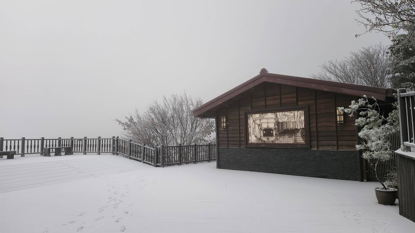 海拔1900公尺的太平山國家森林遊樂區，22日清晨出現一片雪白的美麗景色。圖/取自農業部林業及自然保育署宜蘭分署網站