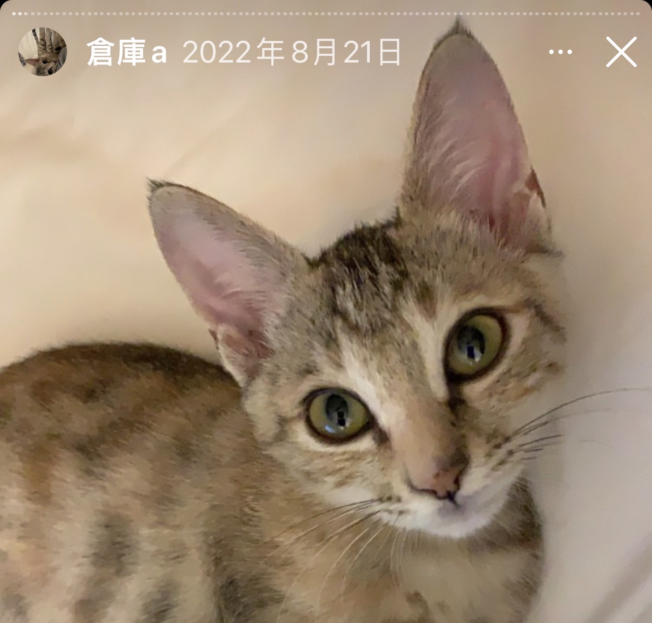 「倉庫」常會出現無辜的表情。圖/陳小姐提供