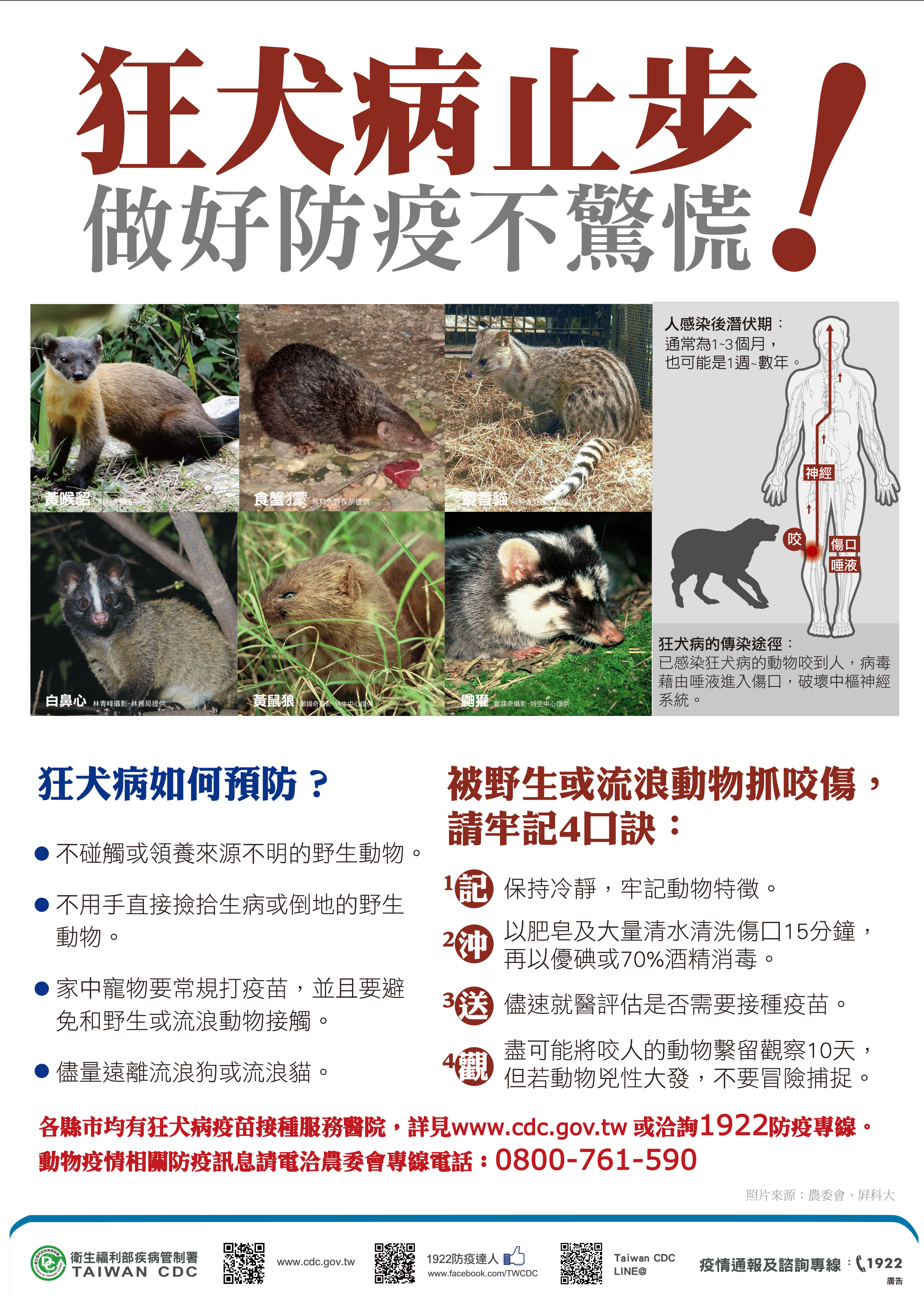 狂犬病的防治。圖/取自衛福部疾管署官網