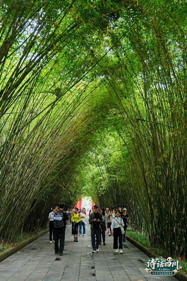 走進武侯祠,看著紅牆旁的竹影晃動,踩著一代又一代人走過的路,故事忽然就有了空間,也有了溫度。圖/「掌上蜀show・詩話四川」主辦單位提供