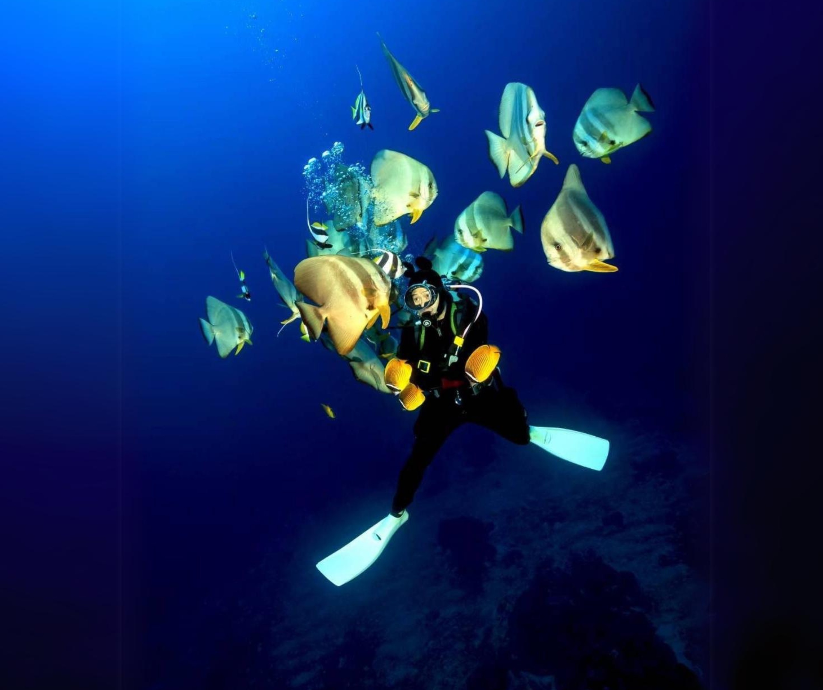 南拳媽媽彈頭受潛水界先驅黃春源教練邀請，拍攝《沖繩潛規則》海底紀錄節目，介紹如何教導0基礎潛水素人，考取初階潛水的過程與記錄海底美景。圖/美秀創意提供 