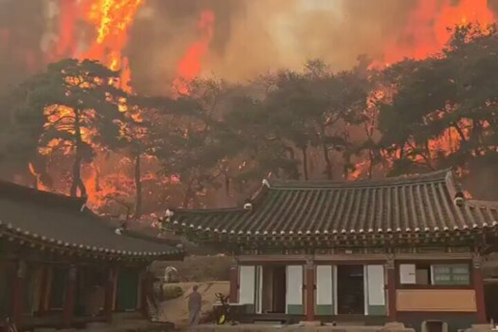韓國正在經歷嚴重的森林大火。圖/取自단죄의 시간《推特》
