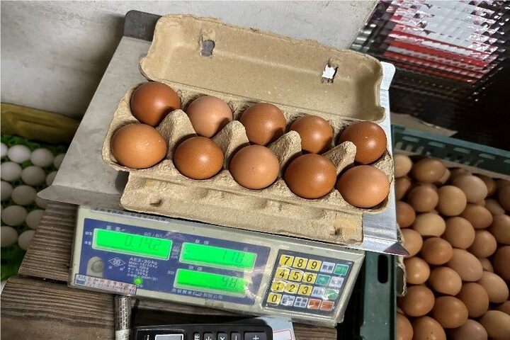 北市衛生局針對市面肉品與蛋進行稽查。圖/取自北市衛生局官網