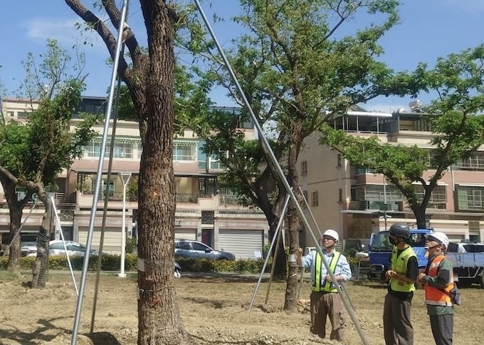 對於被護樹團體批評濫砍樹木，高雄市捷運局回應，一且依法。圖為捷運局派人員檢查樹木的健康。圖／捷運局提供