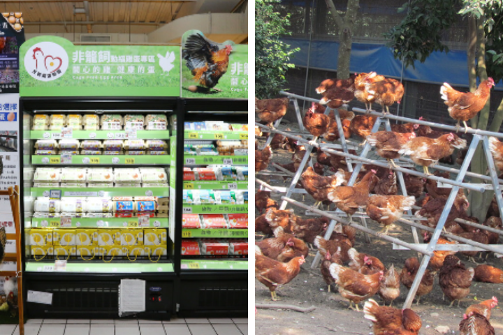 量販巨頭出手！家樂福台北門市即起停售籠飼蛋　明年完成全台非籠飼