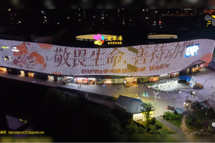 廣東5少年焚虐旺旺案登上BBC！陸饒舌歌手萬妮達聲援動保法：世界不只屬於人類