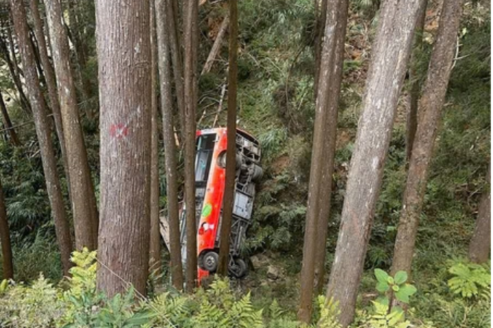 南投賞櫻變調！杉林溪接駁車墜谷釀1死7傷　觀光署勒令全面停駛