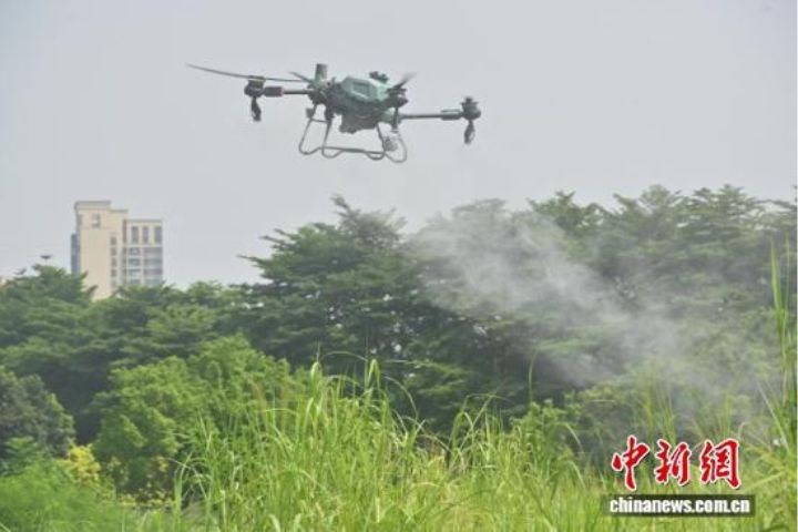 8月1日，廣州市荔灣區橋中街道綠地開展無人機滅蚊行動。圖/取自中新網