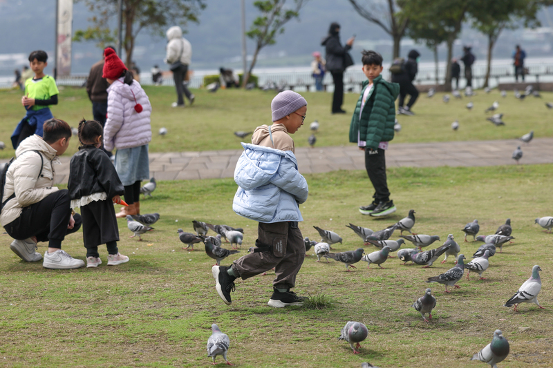 氣象署：春節天氣一次看！小年夜之前「溫暖如春」　除夕北東微轉涼