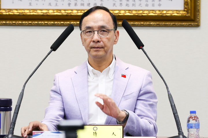 【梅花專論】國民黨需要的是那種人當主席 不是那個人