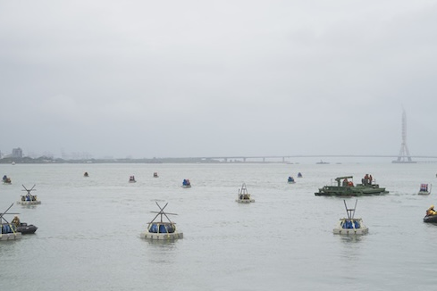 只有僱傭兵才看錢？鍾佳濱反對軍人加薪　Cheap怒轟、徐巧芯要求道歉