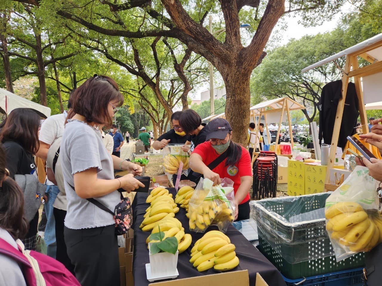 香蕉貴如黃金,每台斤逾百元,創史上新高。農業部長陳駿季指是去年颱風影響所致,要消費者耐心等價格回穩,似無任何應對方法。圖為台灣香蕉研究所去年中舉辦促銷活動。圖/取自財團法人台灣香蕉研究所臉書