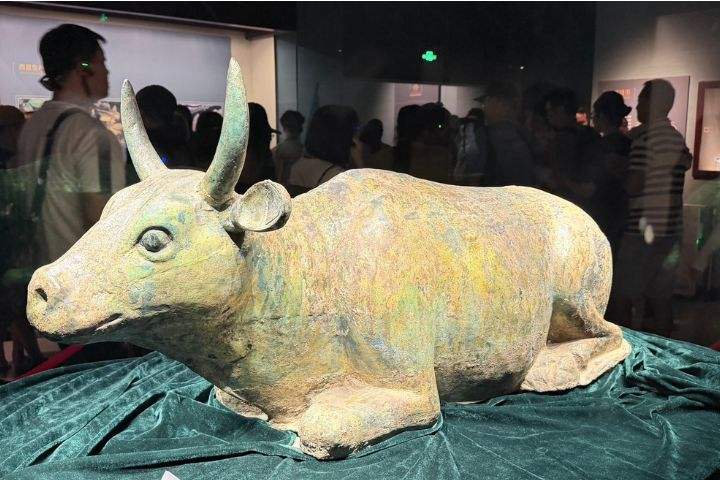 寧夏博物館一頭鎏金銅牛　寫著西夏文明與民族融合的歷史軌跡