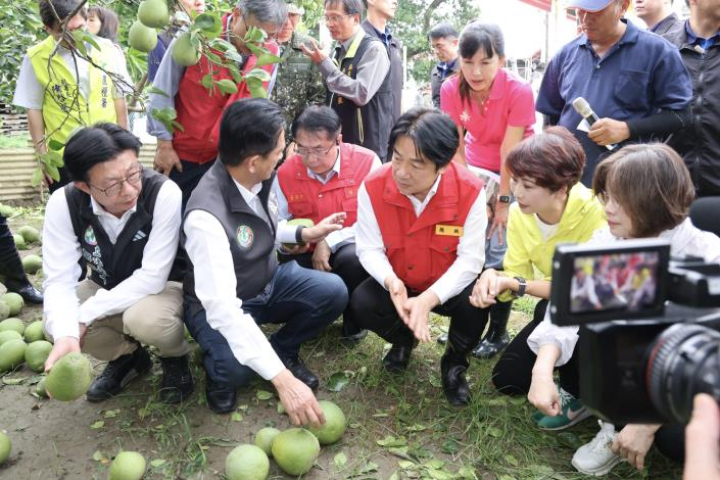 颱風丹娜絲造成雲嘉南地區多處災情，總統賴清德（前右3）8日南下勘災，到台南市麻豆區了解文旦果園落果情形。圖／ 中央社