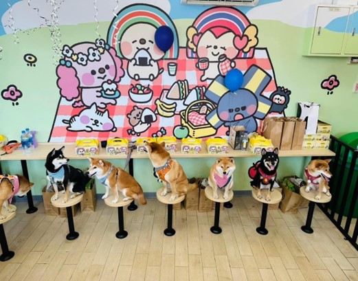 關西及東山服務區設有寵物共餐區，飼主可帶著寵物至共餐區用餐。圖/取自高速公路局網站