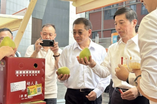張雅屏赴深圳大啖花蓮鶴岡文旦：落實「鄭習會」交流成果